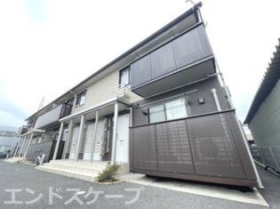 キャッツアイBの画像