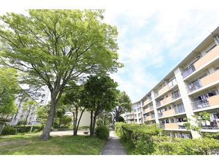 兵庫県神戸市北区南五葉2丁目の賃貸マンションの画像