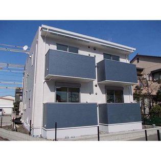 椛(もみじ)の画像