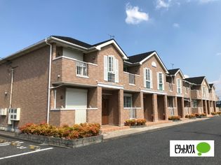 アガパンサスⅡの画像