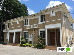 サピィーラフテルの画像