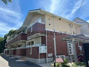 ミルト諸福の画像