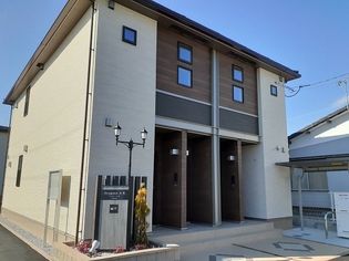 オレガノ Aの画像