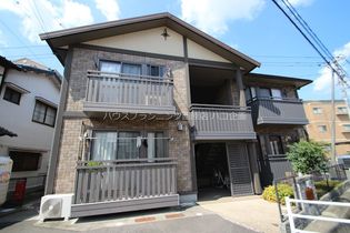 ルピナスの画像