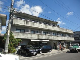 バザレビルの画像