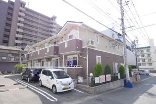 プラシードの画像