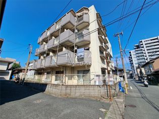 シャトレ黄金の画像