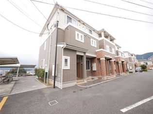 パインヒルズの画像