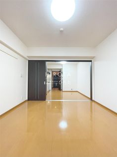 エヴァーグリーンOの画像