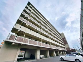 エヴァーグリーンNの画像