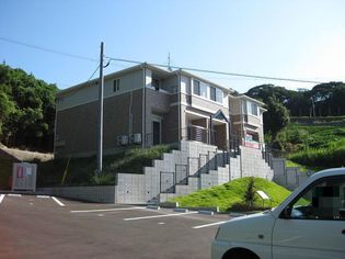 花みずき2の画像