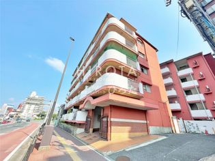 桃園VIPマンション B棟 210号室の画像