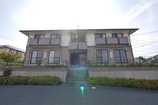 ベラセッテ永犬丸Aの画像