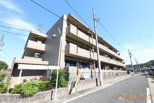 レージュ至来の画像