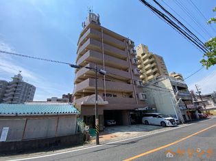 アモール高針の画像