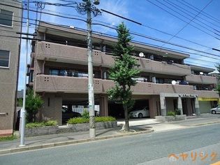 セレニール香南の画像