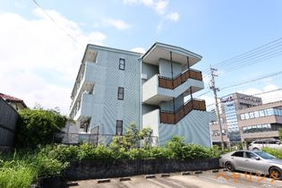 オアシスの画像