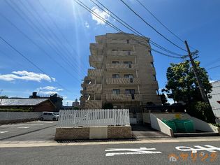 ウーリィパレス大森の画像