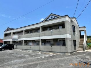メイプルの画像