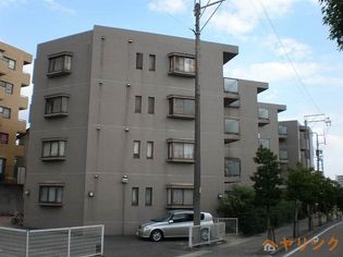 セレーブルの画像