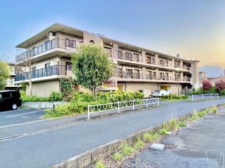 神奈川県相模原市南区上鶴間3丁目の賃貸マンションの画像