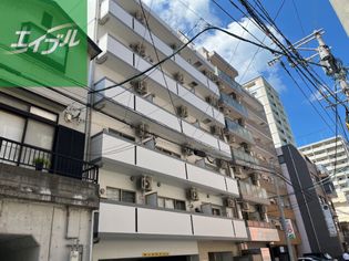 ブルーム桜の画像