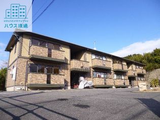 ウィルモアK・Tの画像