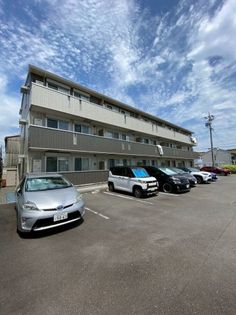 アネラ・ハレの画像