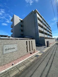 エーデルワイスの画像