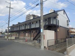セレーナKの画像