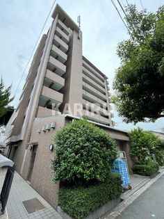 コレンテの画像