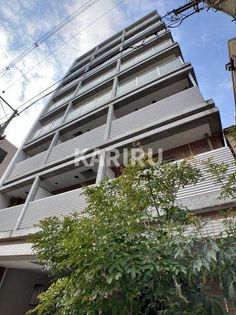 PARK HILLS玉造Kalmiaの画像