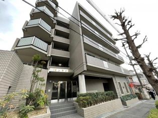 サンライズの画像