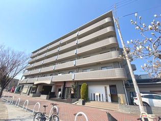 ヴィオラ千里の画像