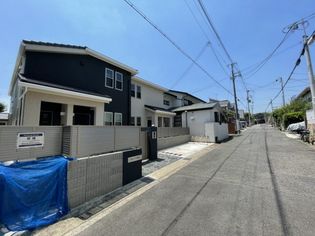 クロリス摩耶の画像