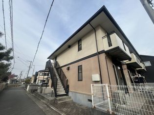コモドエールの画像