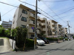 第二柏木ハイツの画像