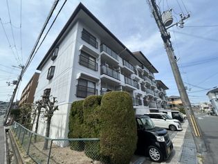 ハピネスの画像