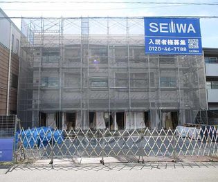 コティ コルミオの画像