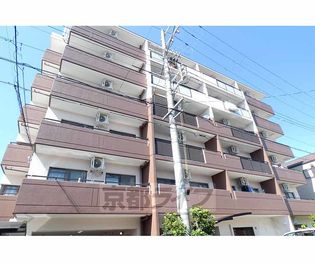 ハミング西浦の画像