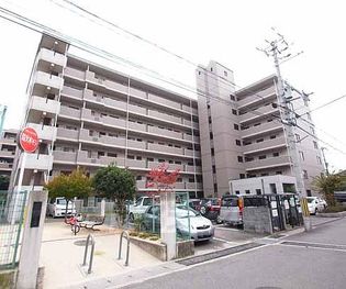 デミューズ木幡の画像