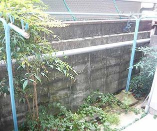 藤田ハイツの画像