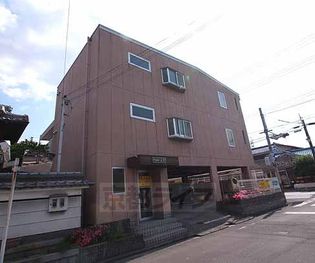 ベルミー大野の画像