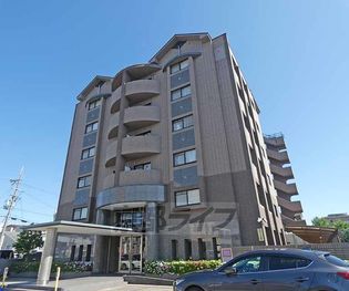 ジェンティール・アドニスの画像