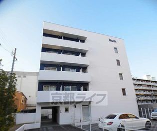 Fiore Saiinの画像