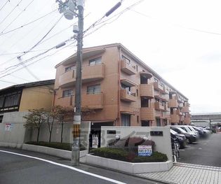 ピアレス千本の画像