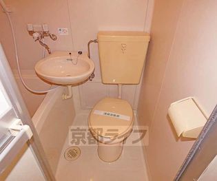 シャイニング桃山の画像