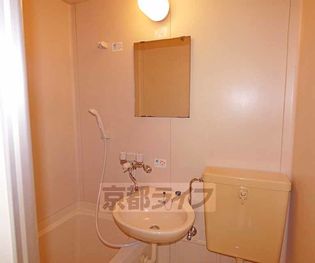 シャイニング桃山の画像