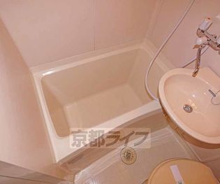 シャイニング桃山の画像