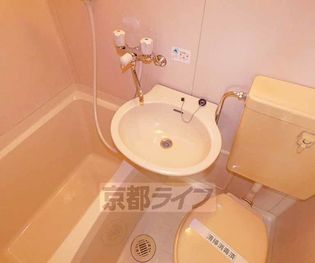 シャイニング桃山の画像